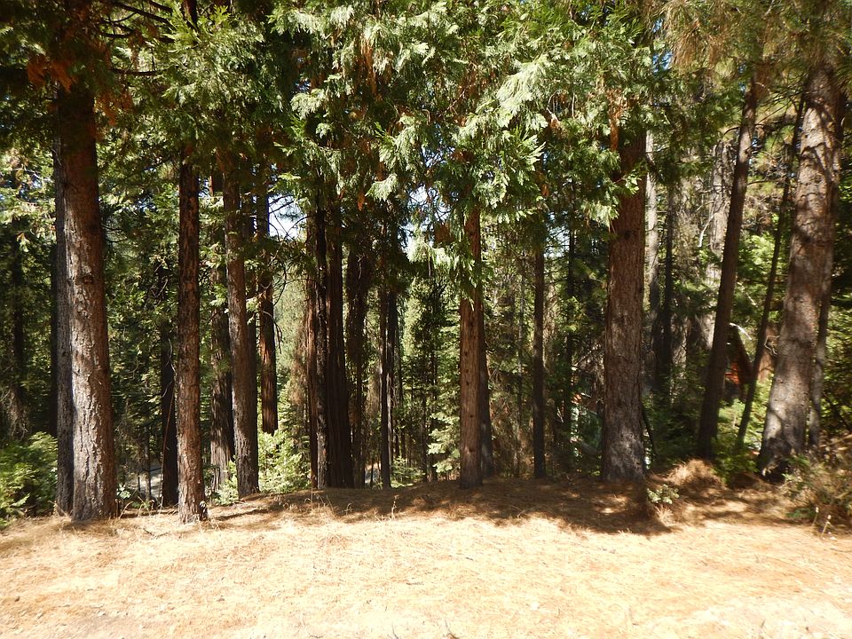 1st image of 1688 Bear Clover Dr
