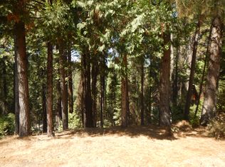 1688 Bear Clover Dr, Arnold, CA 95223