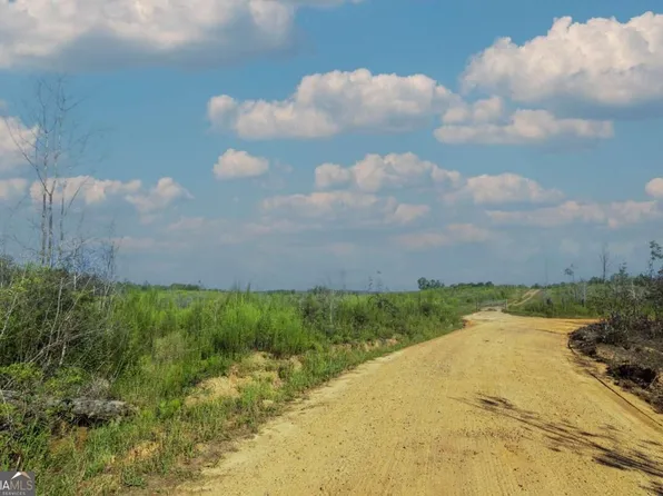 TRACT 4 Highway 36, Woodland, GA 31836