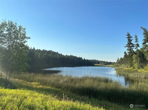 111 TBD Davies Road, Oroville, WA 98844