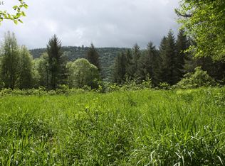 45002 NE Yale Bridge Rd, Amboy, WA 98601