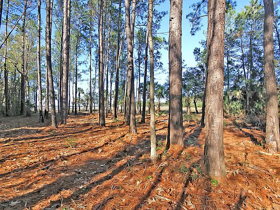 Wooded .62 acres