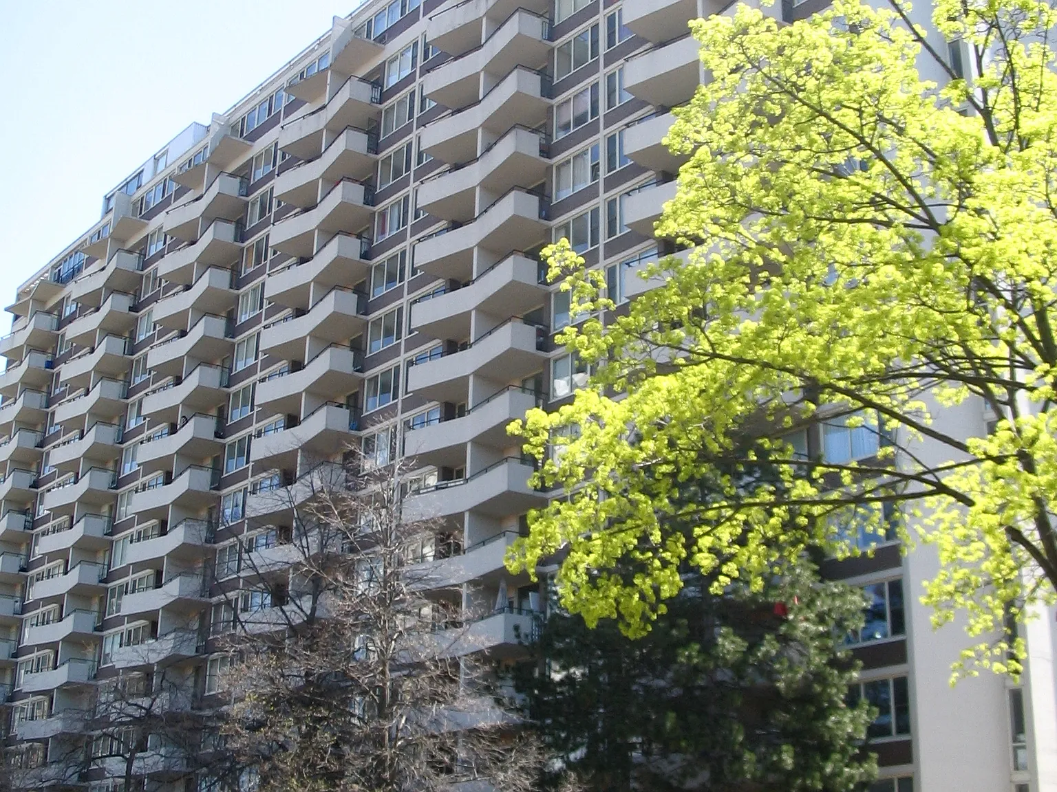 The Continental, Toronto — Photo 2