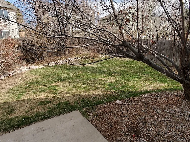6753 Wagon Ridge Dr — Photo 18