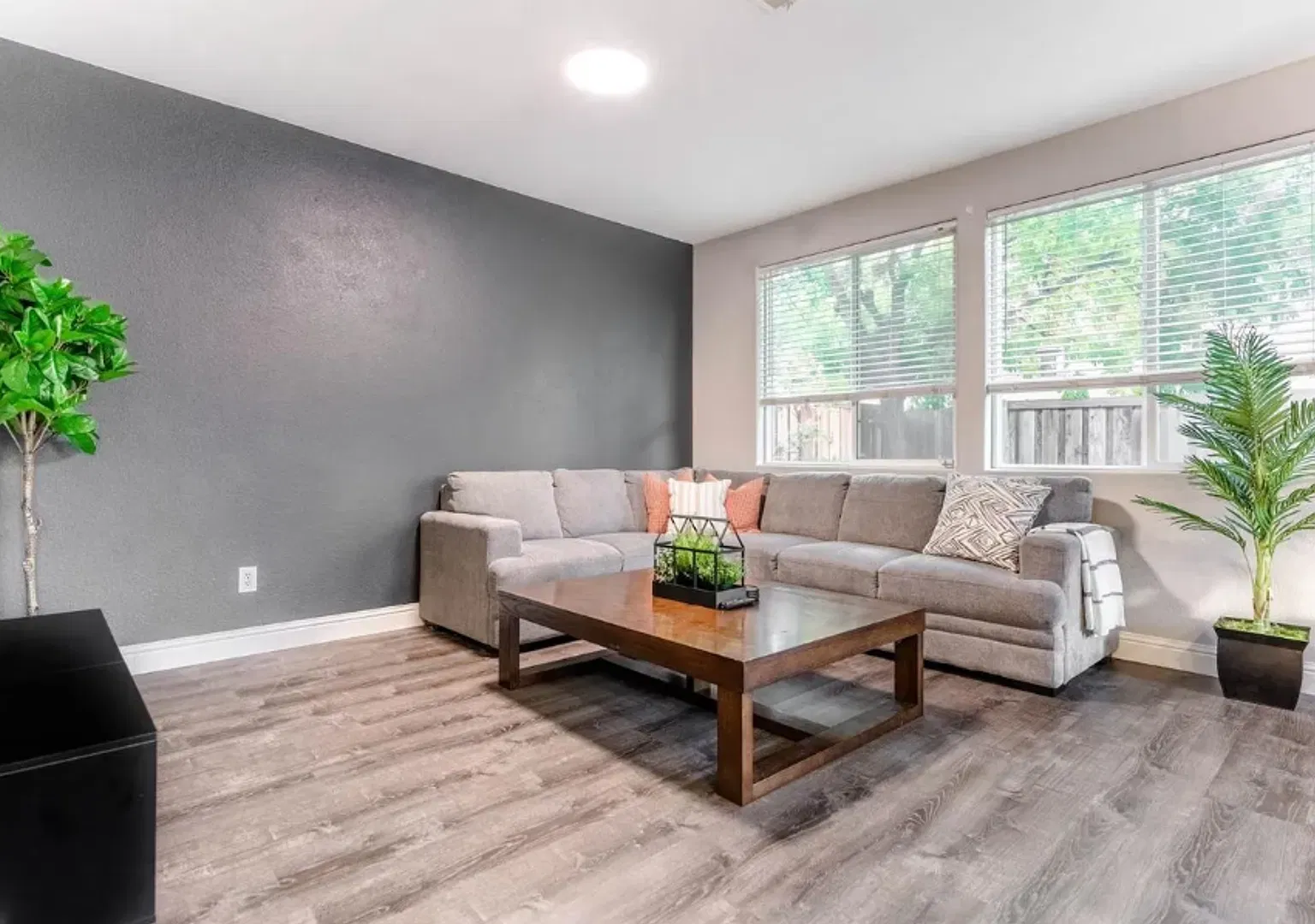Cute As A Bug Natomas 2/2! Please read entire ad for viewings! — Photo 2