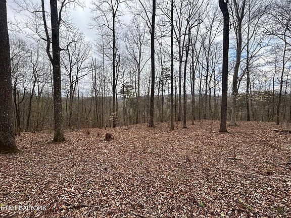 3rd image of Possum Valley Rd