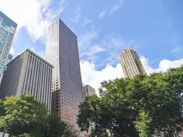 (undisclosed Address), Chicago, IL 60611