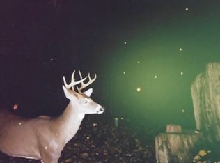 Old Williams Rd, Flintstone, MD 21530