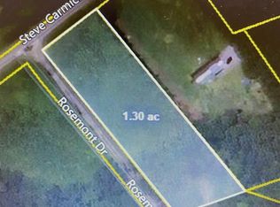 Steve Carmichael Rd, Hemingway, SC 29554