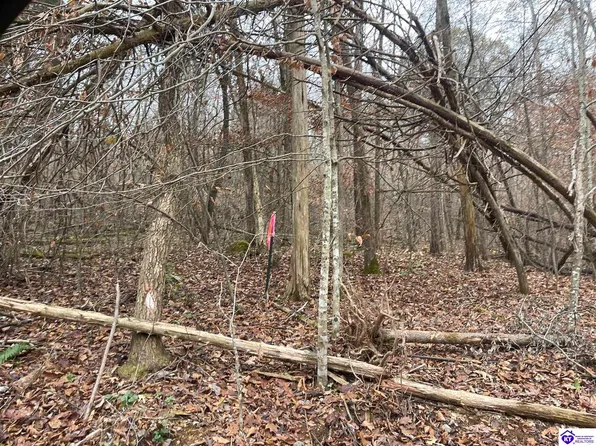 PARCEL Fuller Harding Rd #J, Campbellsville, KY 42718