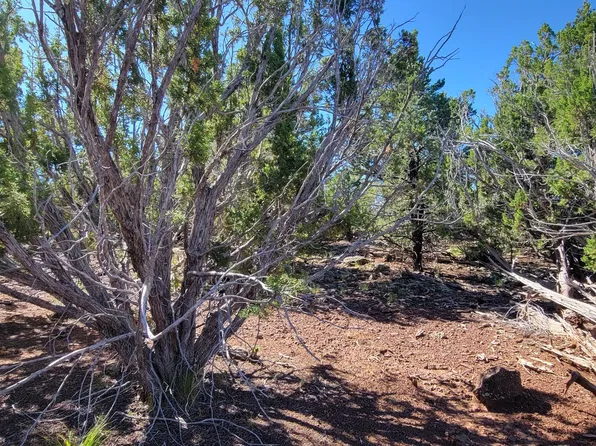 2394 E Fir St, Williams, AZ 86046