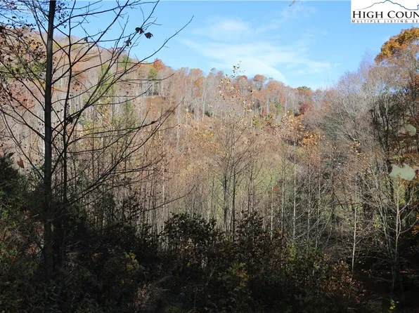 TBD Glenn Miller Road, Warrensville, NC 28693