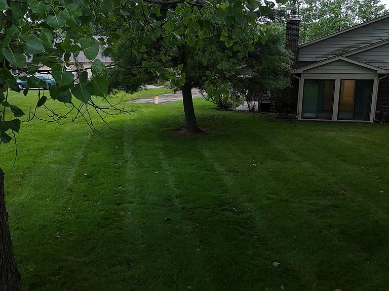 9332 Cinnebar Dr — Photo 13