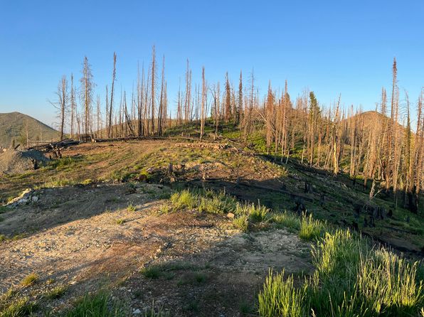 9261 Sheep Mountain Rd, Stanley, ID 83278