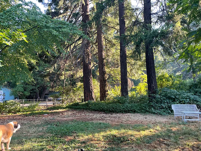 1600 Mill Creek Dr — Photo 2