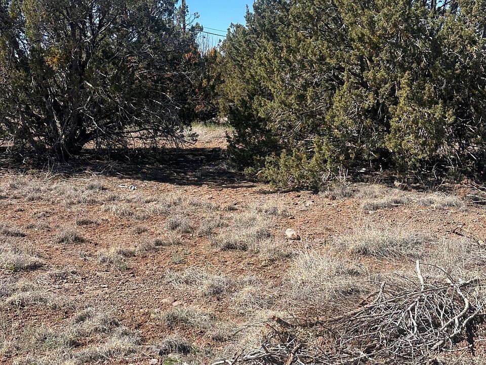 2nd image of 8489 Rifle Dr