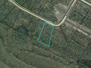 Picketts Mill Trl, Waynesville, GA 31566