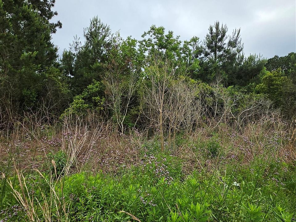 1st image of 2777 County Road 3479b