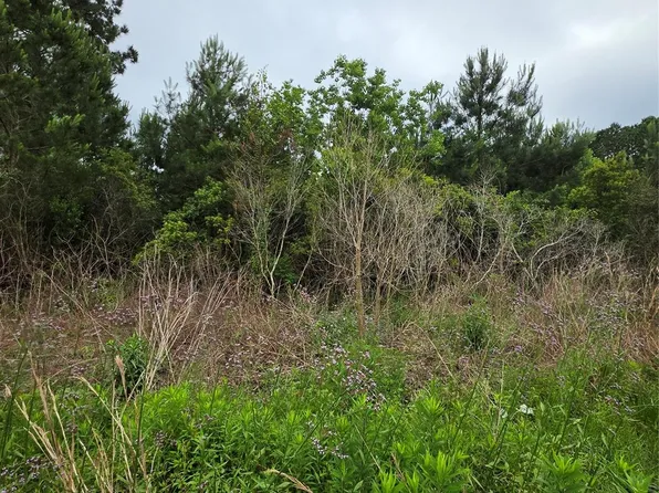 2777 County Road 3479b, Cleveland, TX 77327