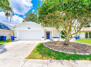 1102 Bloom Hill Ave, Valrico, FL 33596