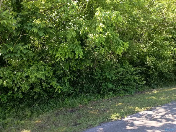 315-317 Pennsylvania Ave, Gadsden, AL 35903