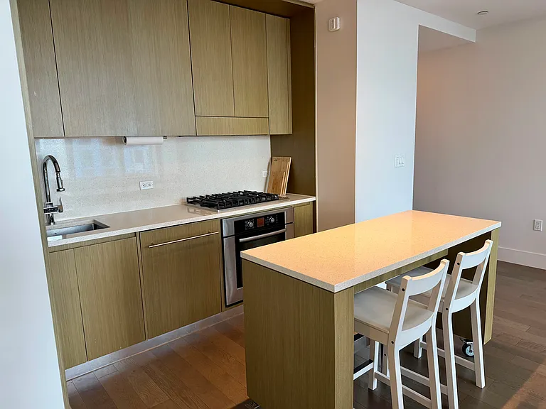 388 Bridge St #38F — Photo 5