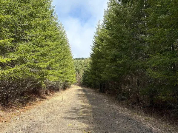 0 Boiler Creek Rd, Springfield, OR 97478