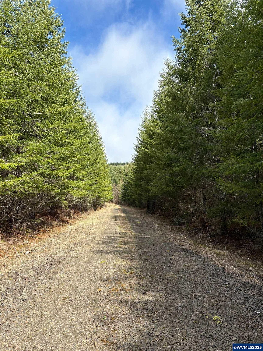 0 Boiler Creek Rd photo 1