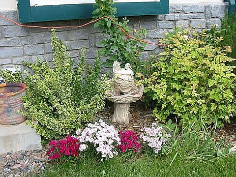 Some front landscaping