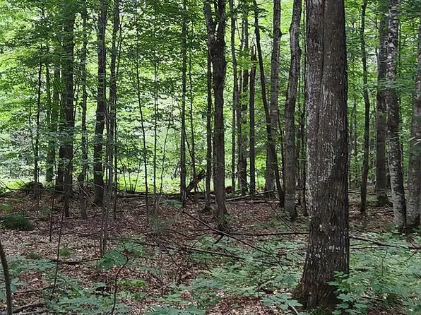 0 Osborn Dr, Mc Millan, MI 49853