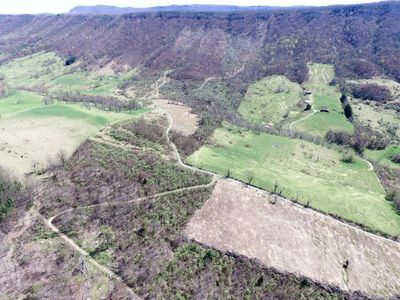 3143 Gratton Rd, Tazewell, VA, 24651