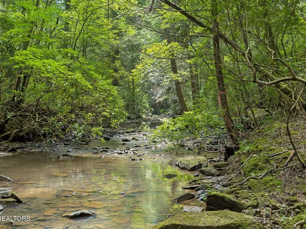 Sheep Ranch Rd Tract 7, Robbins, TN 37852