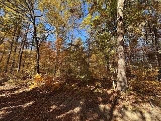 3rd image of 391 Freshwater Rd