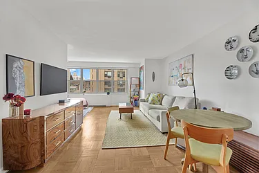 205 3rd Avenue, #7G