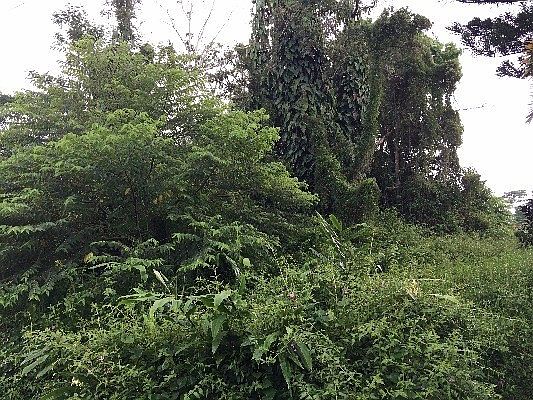 1st image of Manini St Lot 1142