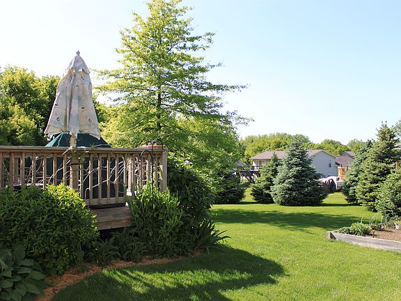 back/side yard
