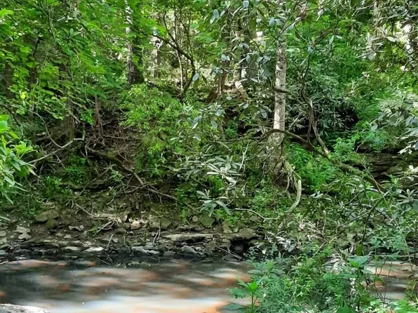 0 Cullen Savage Rd, Palmer, TN 37365