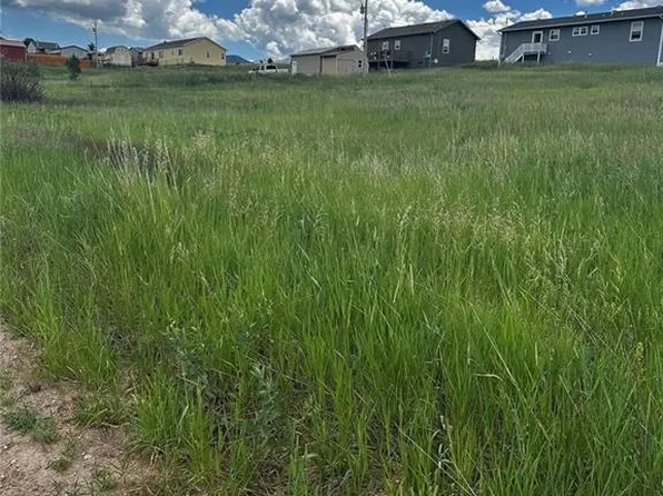 1298 Will Scarlet Dr, Divide, CO 80814