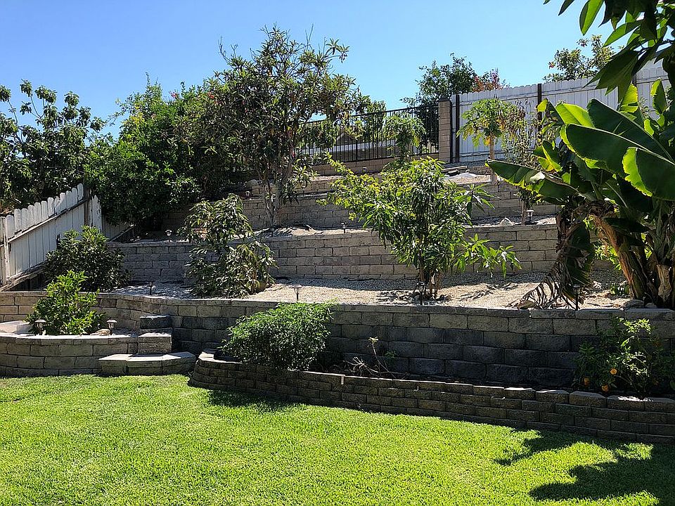 Tropical Fruit Orchard