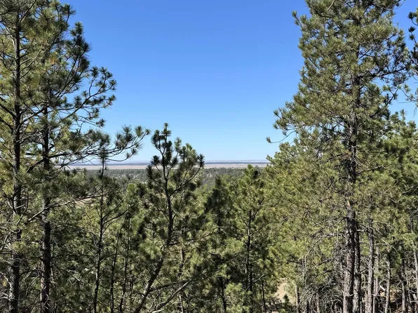 275 Remington Rd, Sundance, WY 82729