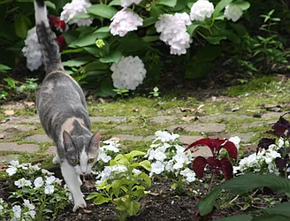 Rented by Maria Buncick Fine Properties, LLC