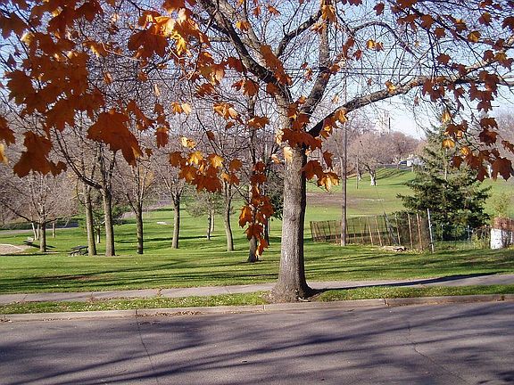 Bassets Creek Park across the street