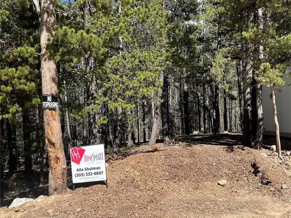 000 Silver Creek Road, Idaho Springs, CO 80452