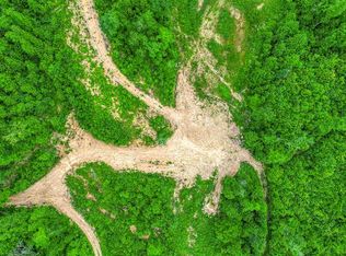 Elbow City Rd, Rogersville, TN 37857