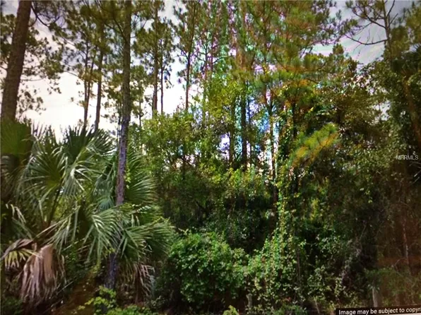 Lake Harney Rd, Osteen, FL 32764