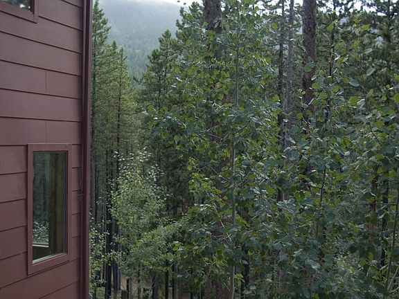 looking SW from front deck