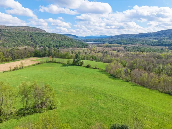 Westkill Rd Lot 2, Jefferson, NY 12093