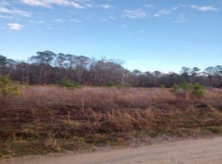 Shine Rd, Johnsonville, SC 29555