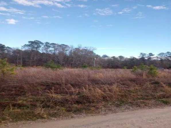 TBD Shine Rd., Johnsonville, SC 29555