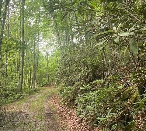 3rd image of LOT 16 Critter Valley Way